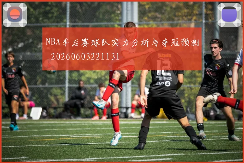 NBA季后赛球队实力分析与夺冠预测_20260603221131