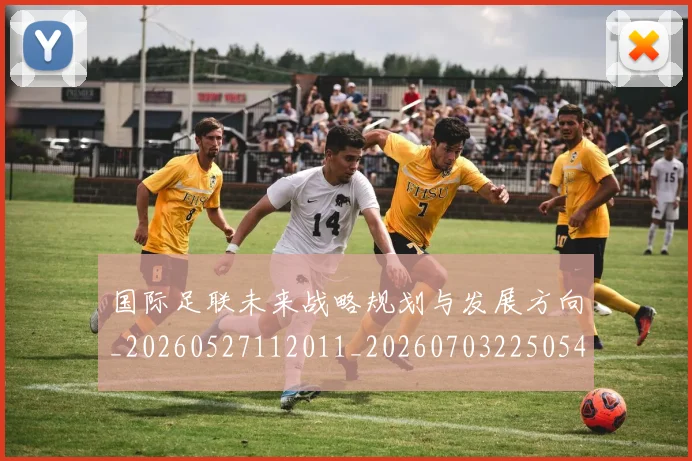 国际足联未来战略规划与发展方向_20260527112011_20260703225054
